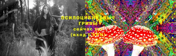 мяу мяу кристалл Горняк