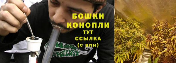 дмт Горнозаводск