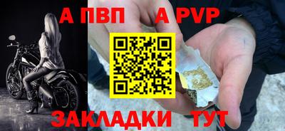 шишки Аргун