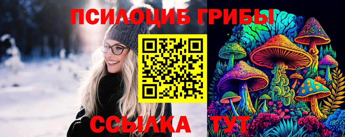 Псилоцибиновые грибы GOLDEN TEACHER Нерюнгри