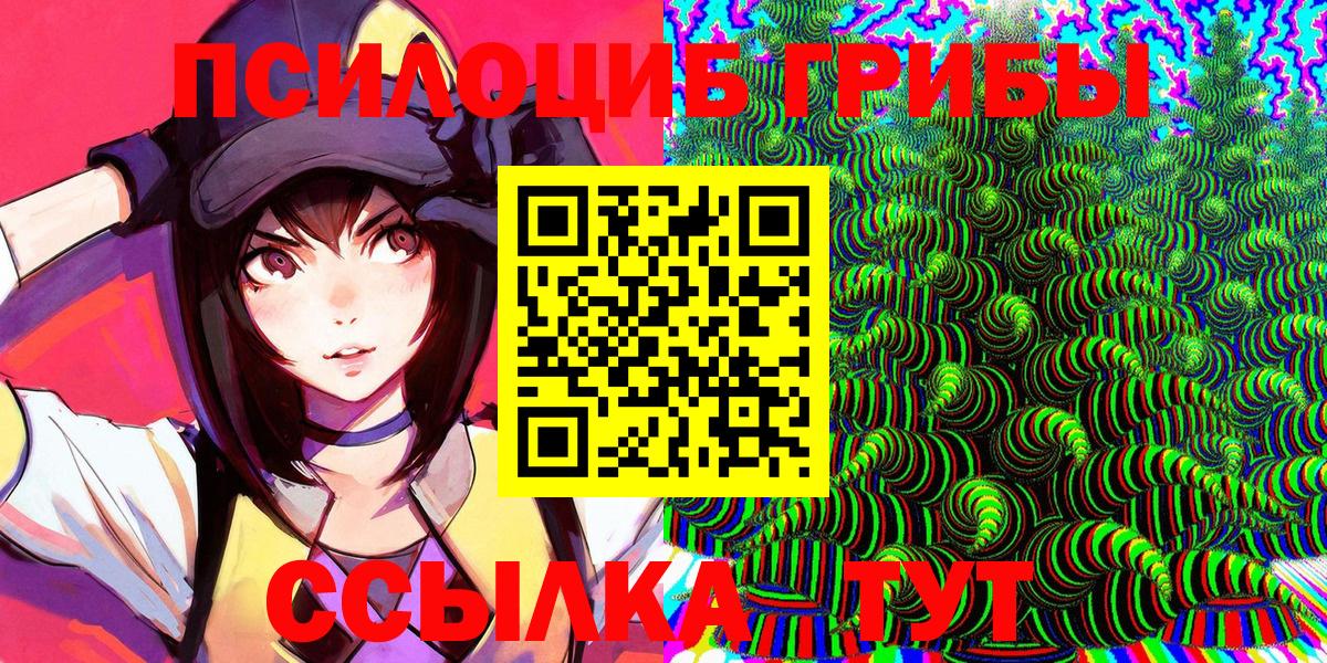 Псилоцибиновые грибы MAGIC MUSHROOMS  купить наркотики сайты  Нерюнгри 