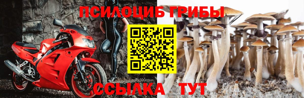 Псилоцибиновые грибы GOLDEN TEACHER Нерюнгри