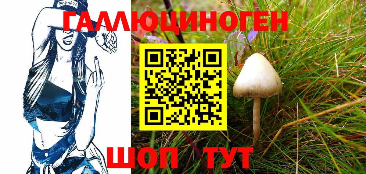 Нерюнгри  где продают   Вход с VPN  Псилоцибиновые грибы Cubensis 