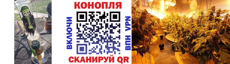 Бошки марихуана MAZAR  Нерюнгри 